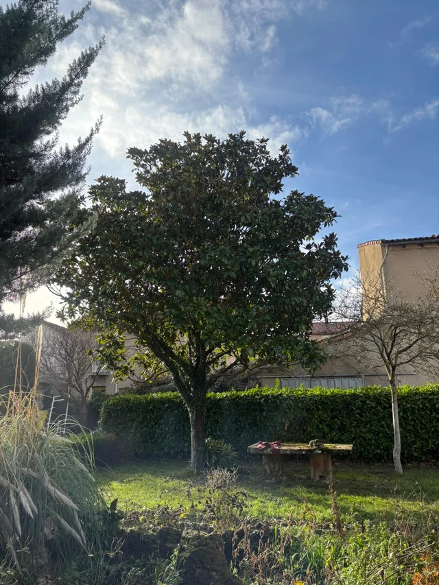 Après intervention — jardin nettoyé