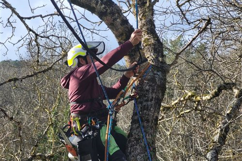 Avant — en pleine intervention