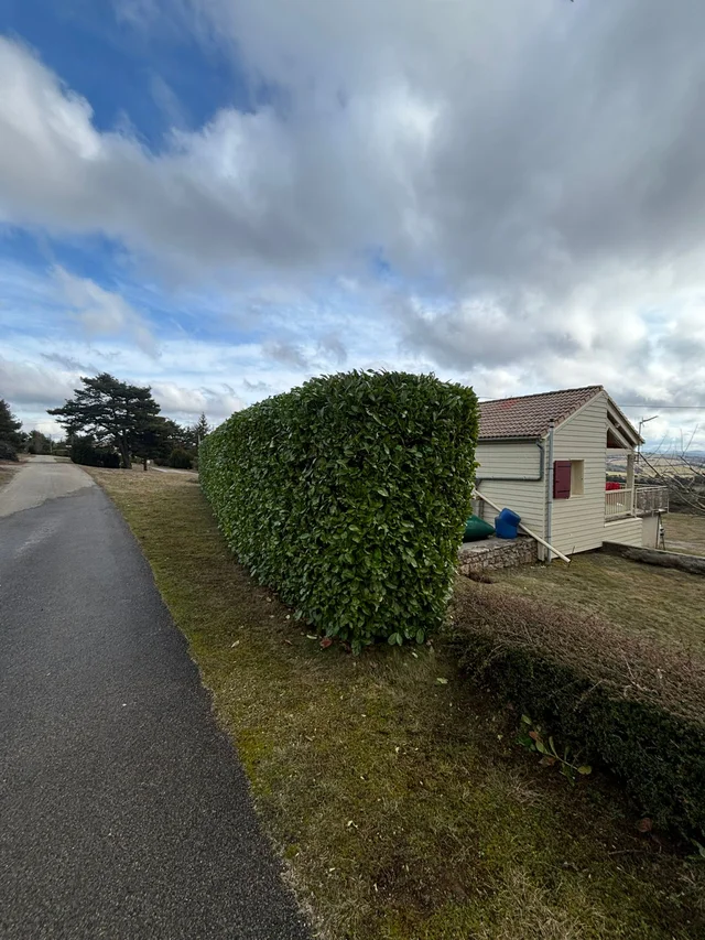 Après — haie taillée nette